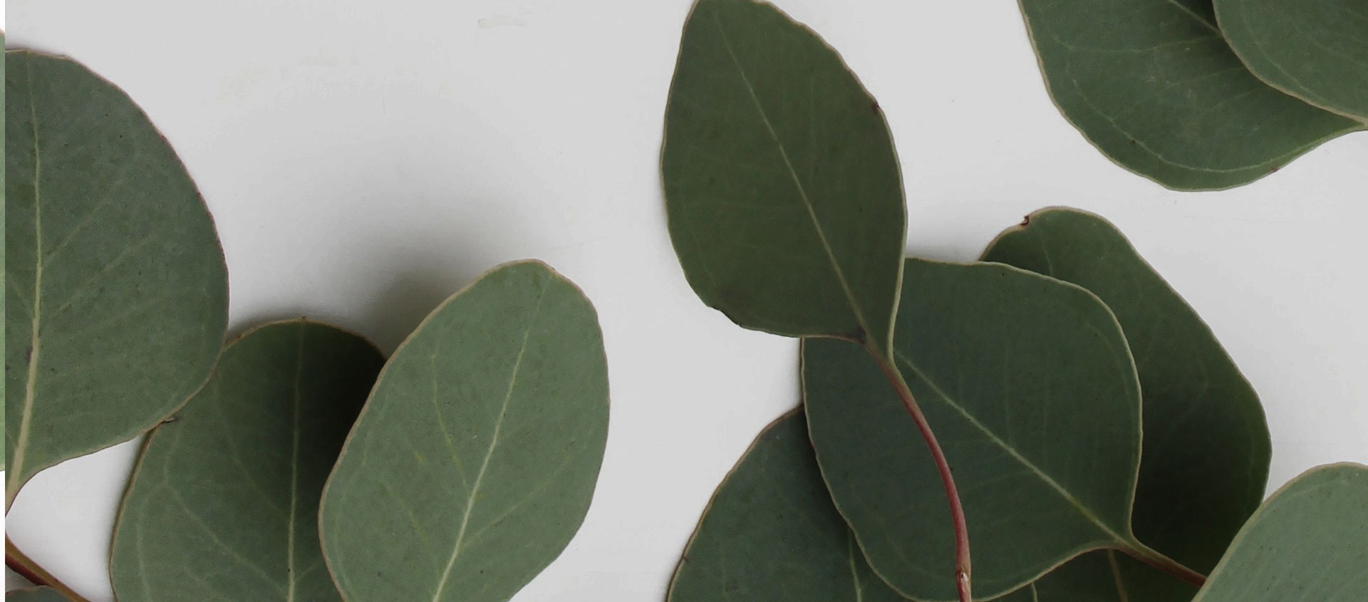 Взыскание ущерба от экологических правонарушений в Белозерском